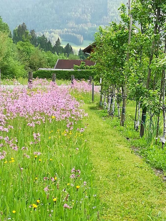 Appartment Haring Hollenstein an der Ybbs Luaran gambar