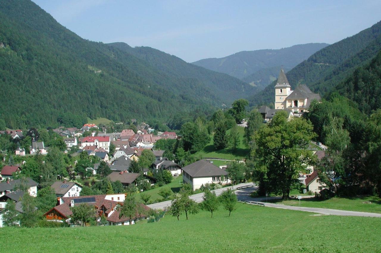 Appartment Haring Hollenstein an der Ybbs Luaran gambar